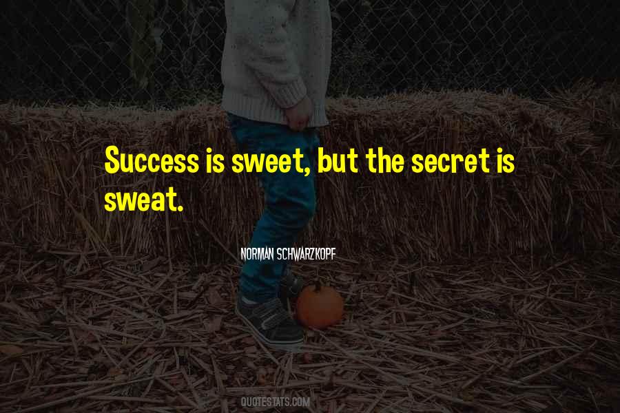 Quotes About Secret Success #464992