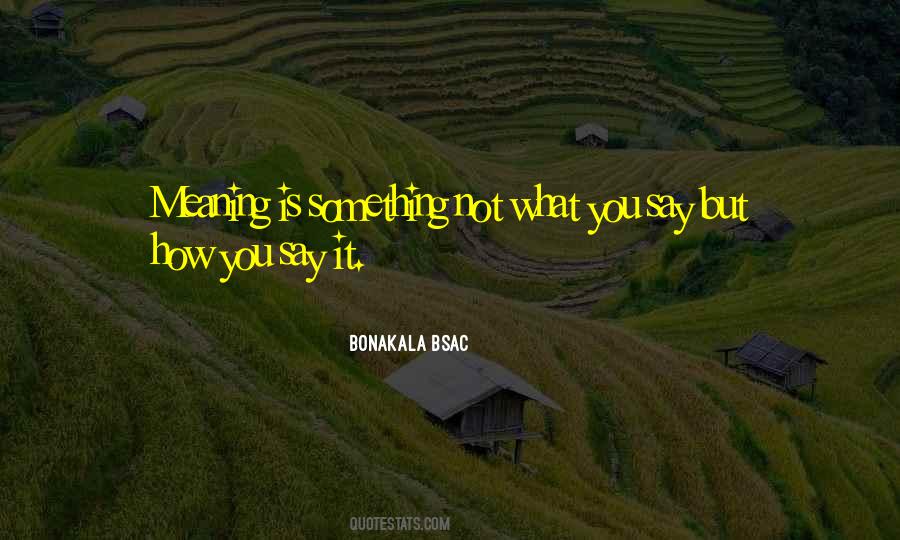 Understandy Very Fast Quotes #1478469