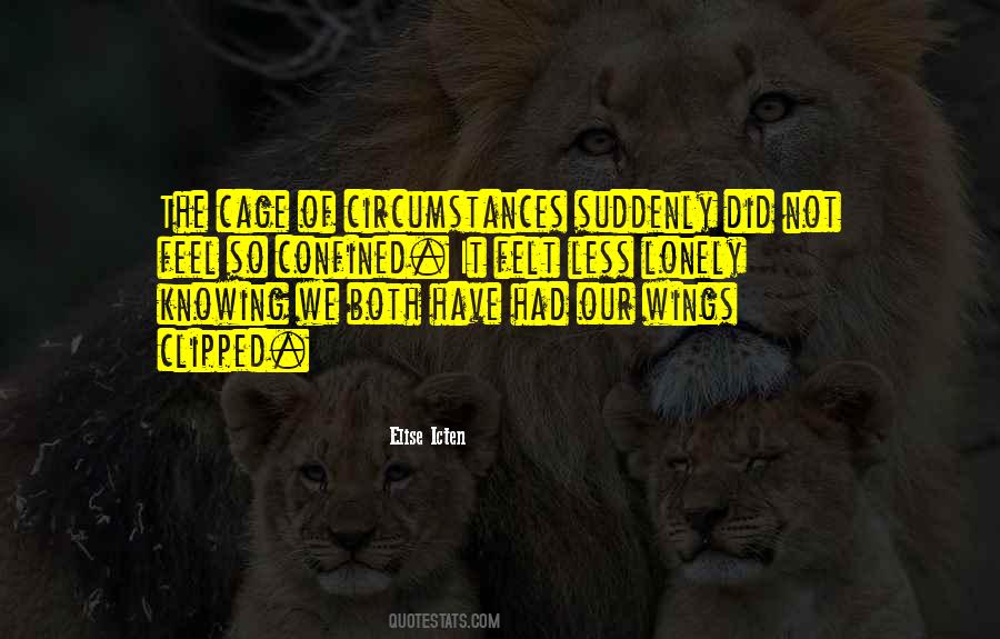 Wings Of My Love Quotes #160155