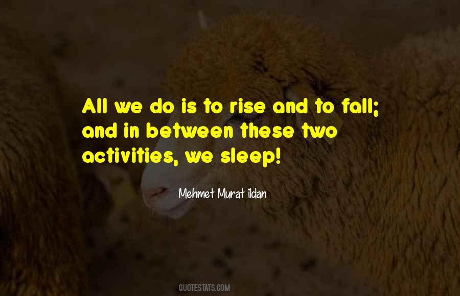 Quotes About Rise And Fall #270644