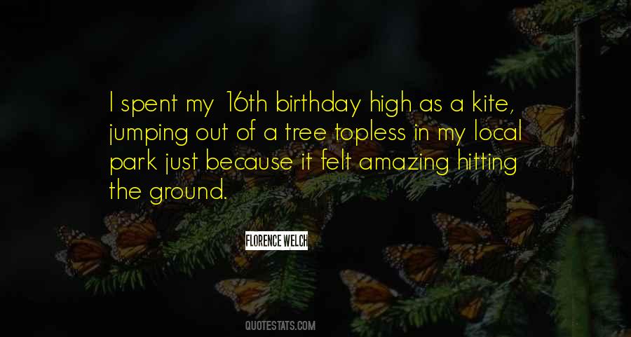 Quotes About My 16th Birthday #1839329