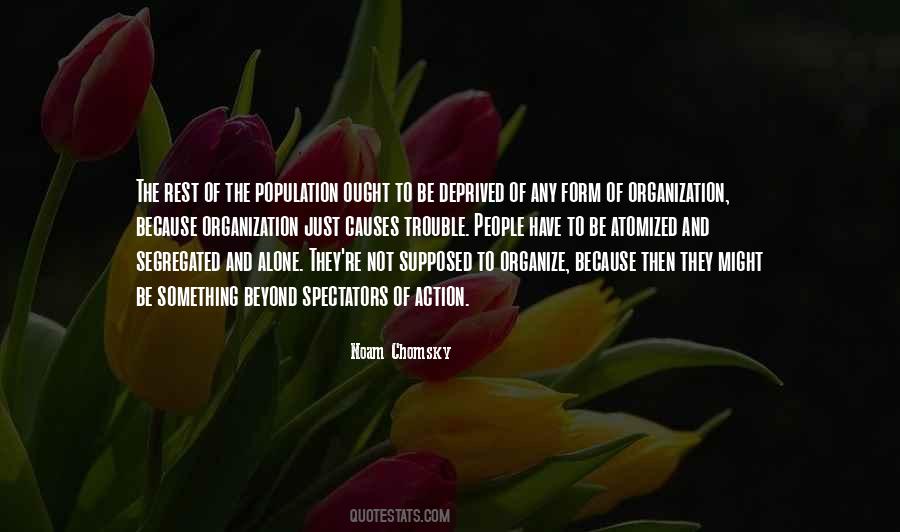 Quotes About Chomsky #135584