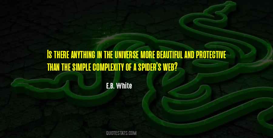 Beautiful Complexity Quotes #490370