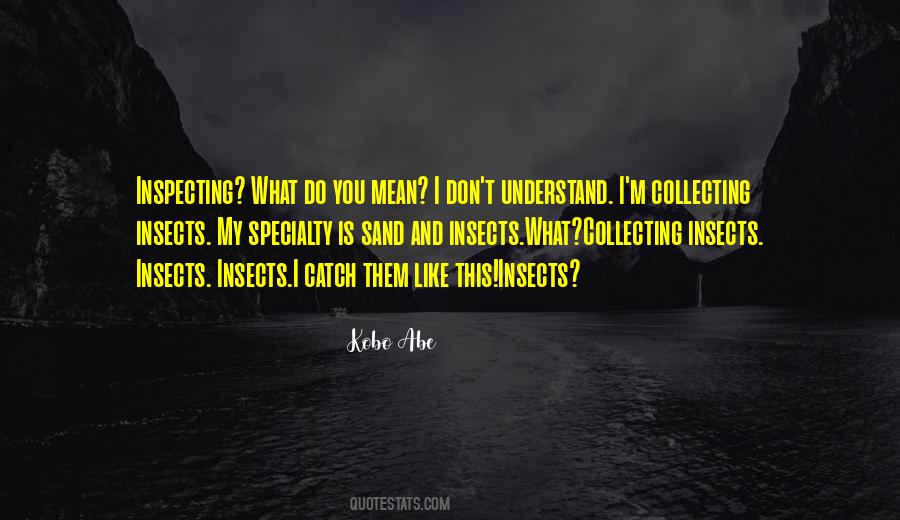 Quotes About What You Don't Understand #158427