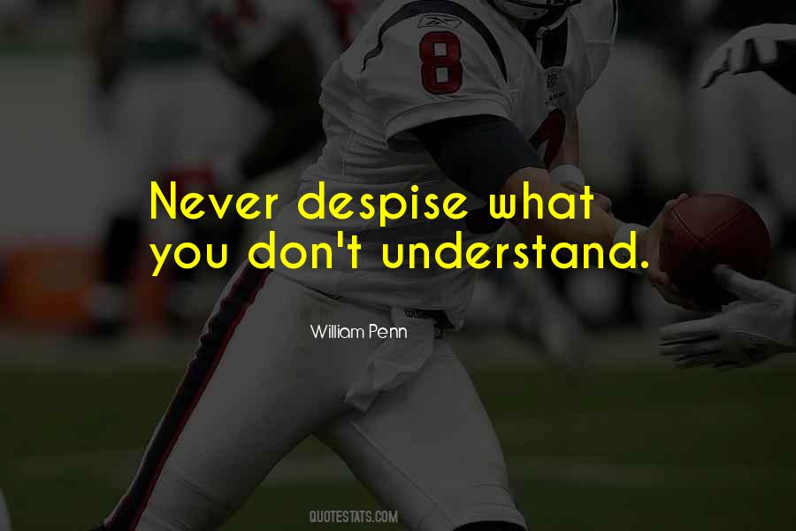 Quotes About What You Don't Understand #394009