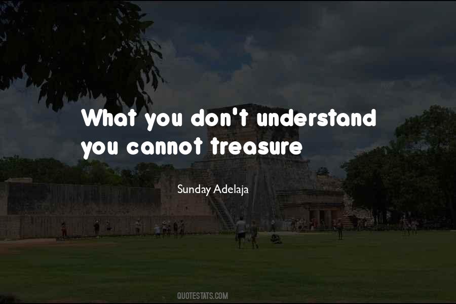 Quotes About What You Don't Understand #39638