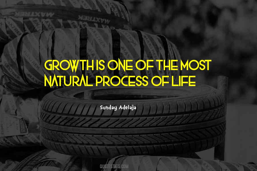 Quotes About Process Of Life #1414323