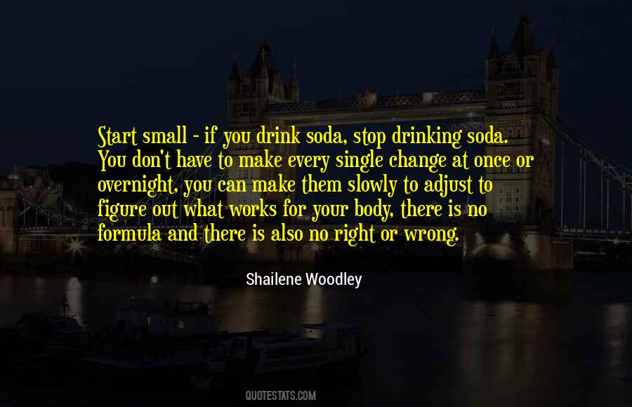 Quotes About Stop Drinking #1063453