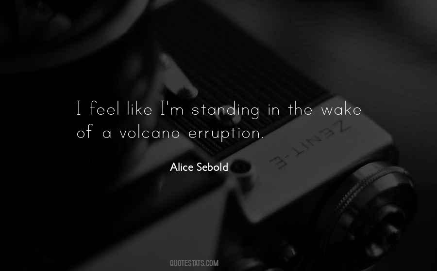 Quotes About Sebold #22082