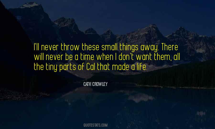 Quotes About Small Things #1059735