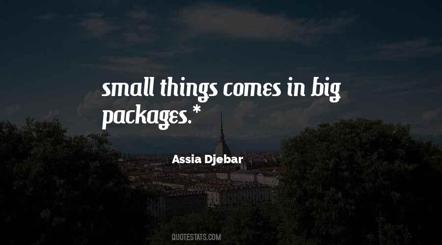 Quotes About Small Things #1085012