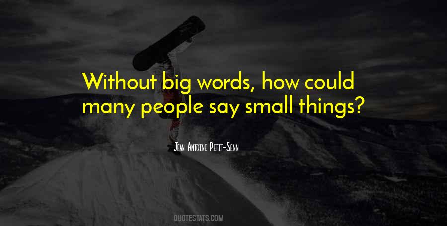 Quotes About Small Things #1241103