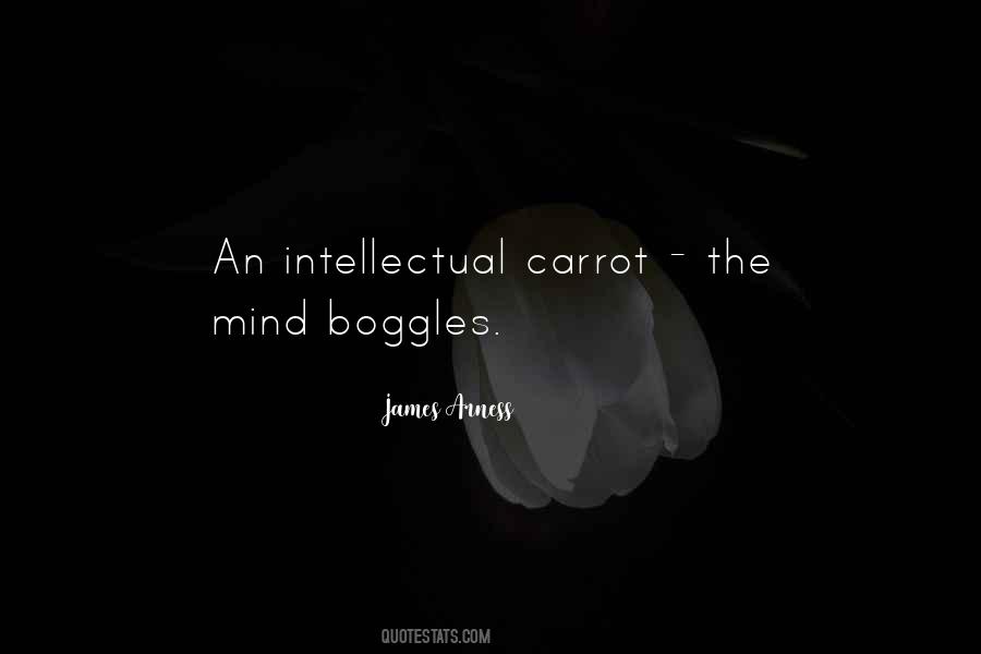 Boggles The Mind Quotes #268102