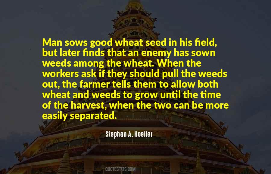 Quotes About Wheat Harvest #1234390
