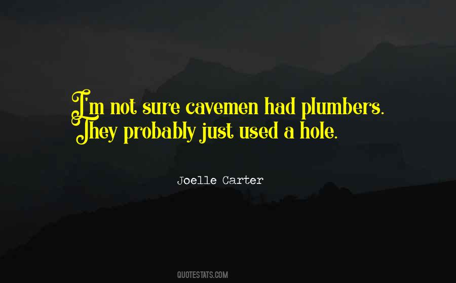 Quotes About Plumbers #844244