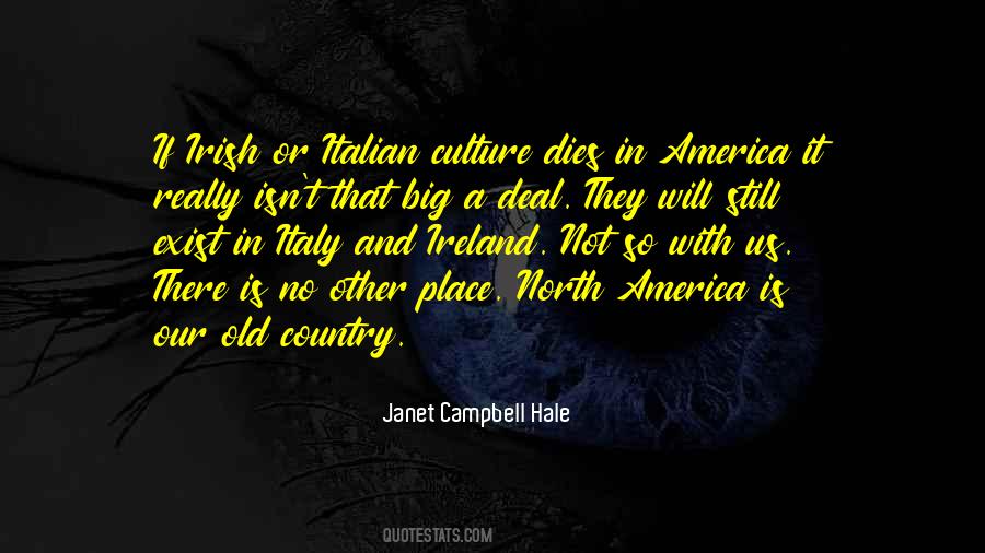 Quotes About Irish Culture #229021