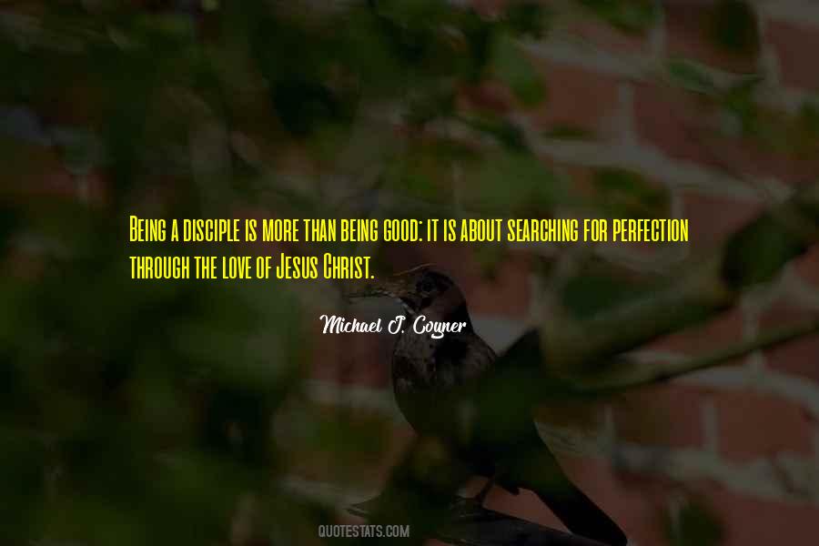 Quotes About Searching For Perfection #1784323