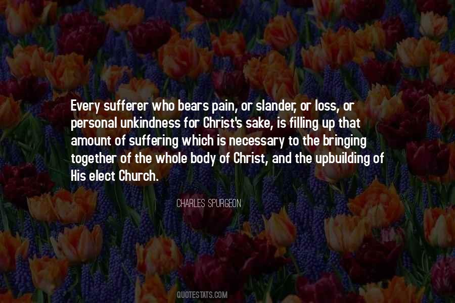 Christ S Suffering Quotes #82024