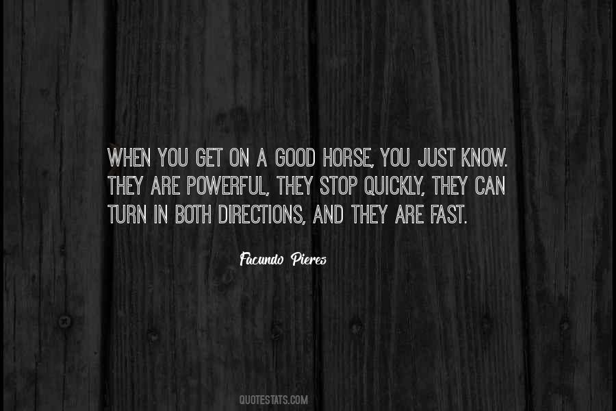 Quotes About A Good Horse #1102558