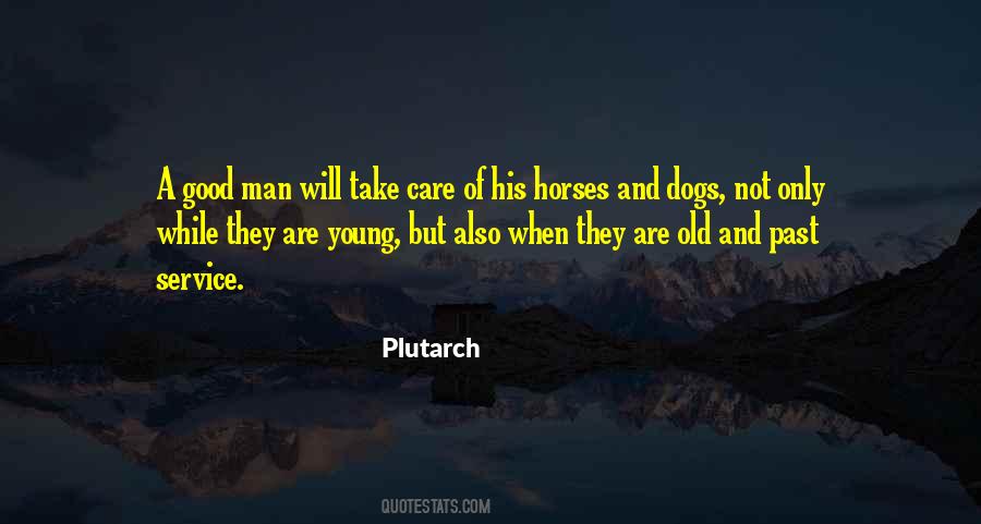 Quotes About A Good Horse #1180843