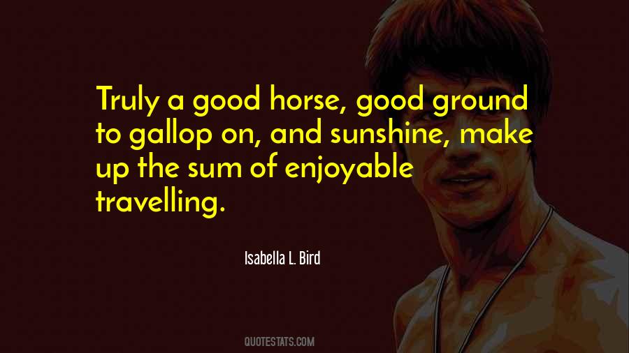 Quotes About A Good Horse #1321409