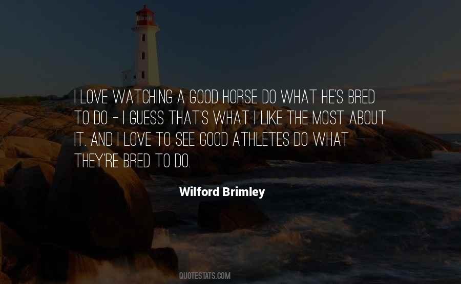 Quotes About A Good Horse #1723286