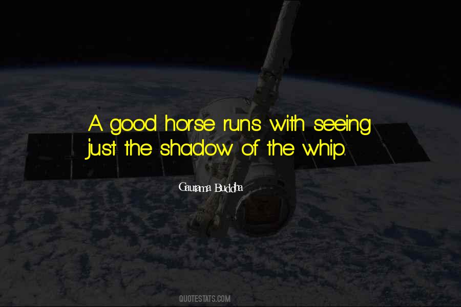 Quotes About A Good Horse #646903
