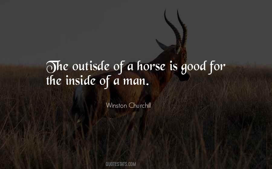 Quotes About A Good Horse #666848