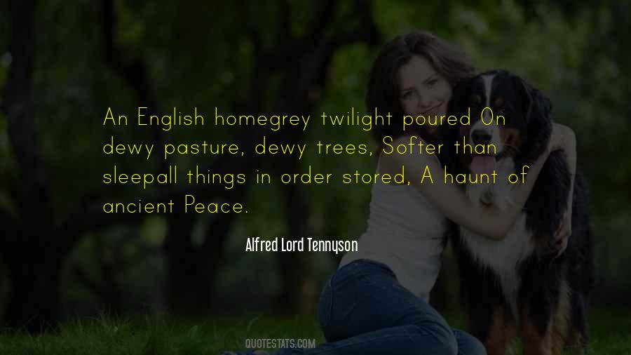 Quotes About Ancient Trees #339357