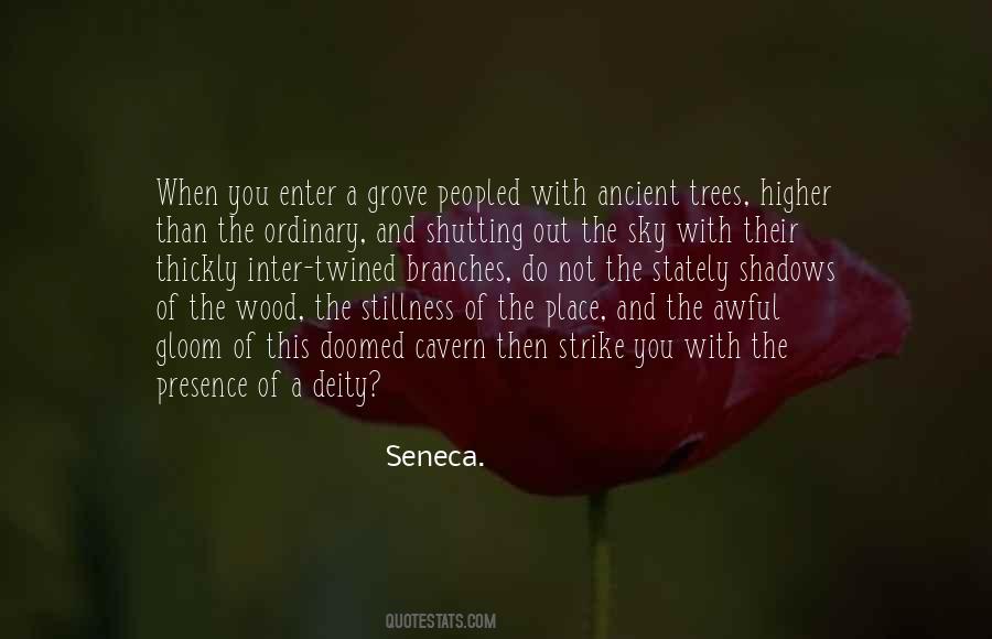 Quotes About Ancient Trees #979168