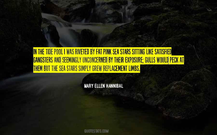 Quotes About Sea Stars #249542