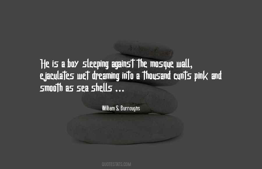 Quotes About Sea Shells #154830