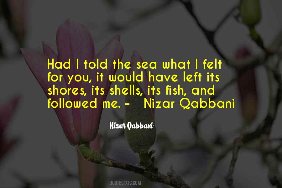 Quotes About Sea Shells #657629