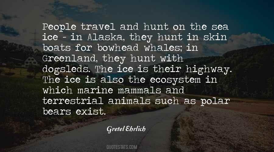 Quotes About Sea Animals #320415