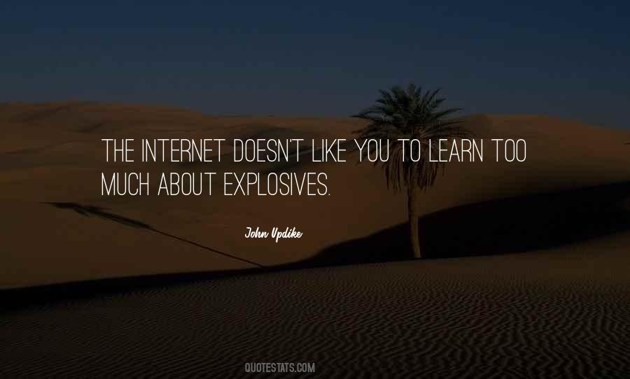 Quotes About Explosives #970392