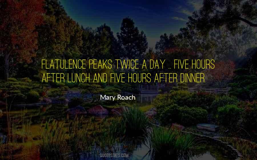 Lunch And Dinner Quotes #1405793