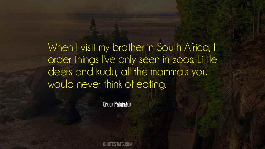 Quotes About South Africa #1018593