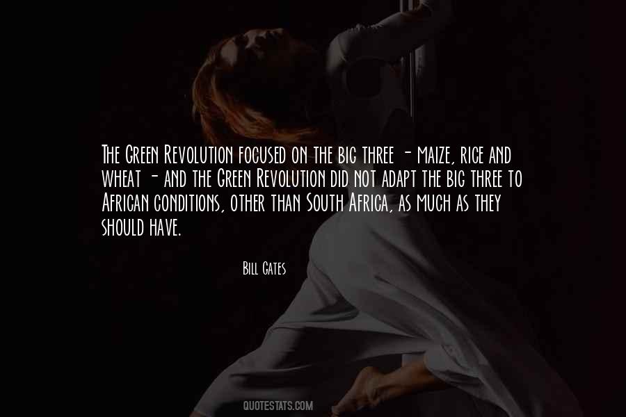 Quotes About South Africa #1173720