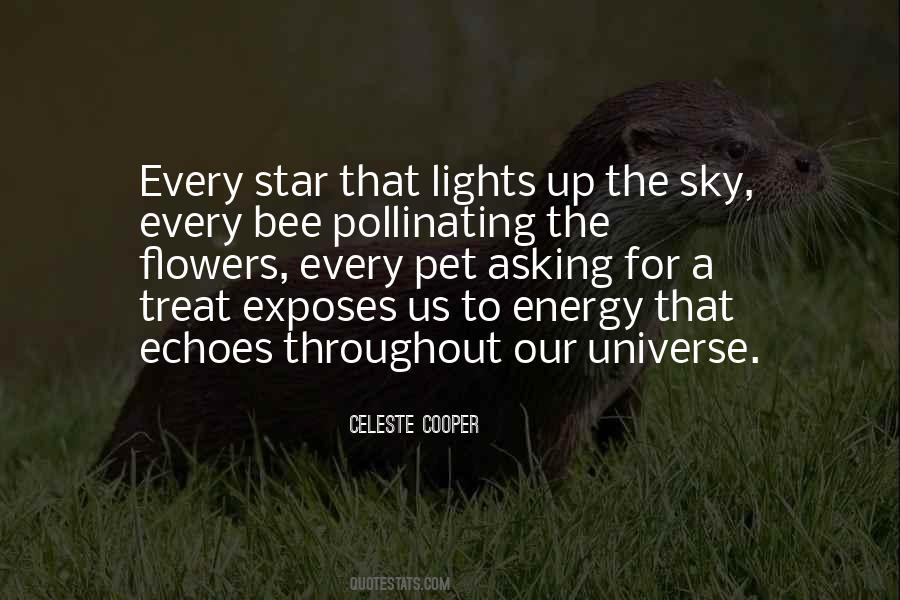 Star Sky Quotes #247030