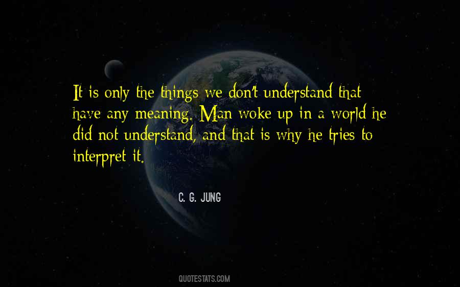 Quotes About Things We Don't Understand #651948