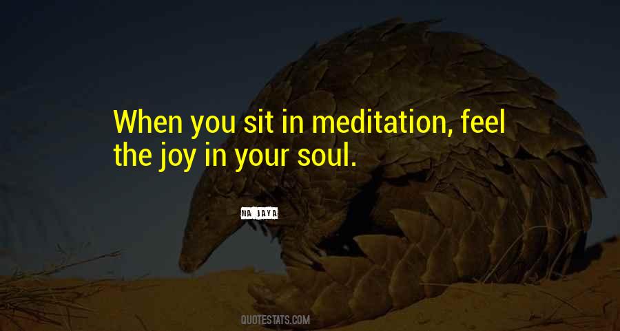 Joy In Your Soul Quotes #1463080
