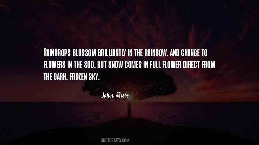 Quotes About Raindrops #1311299