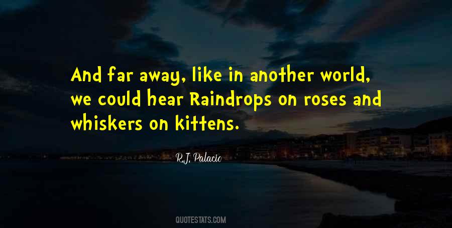 Quotes About Raindrops #1618358