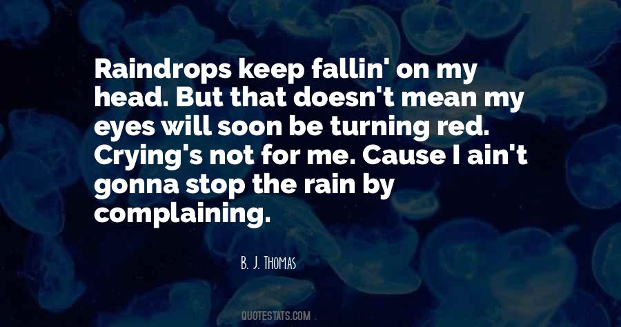 Quotes About Raindrops #95839