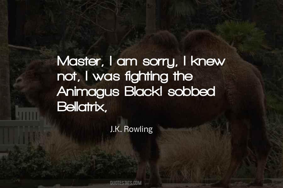 Quotes About I Am Sorry #1463976
