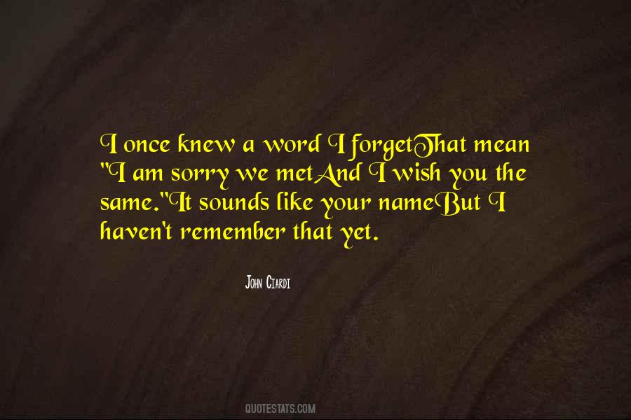 Quotes About I Am Sorry #1651875