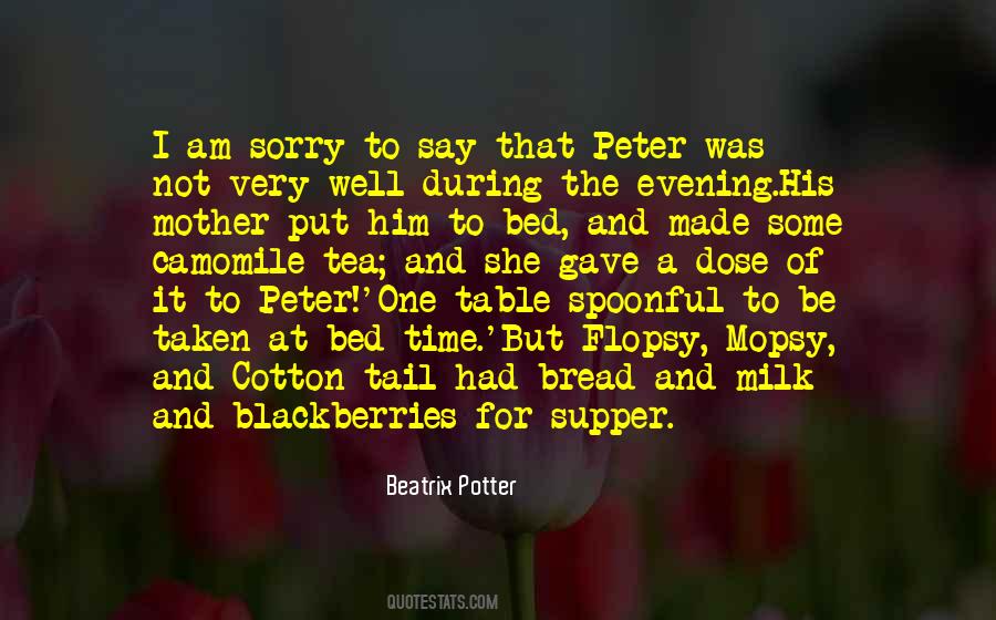 Quotes About I Am Sorry #249967