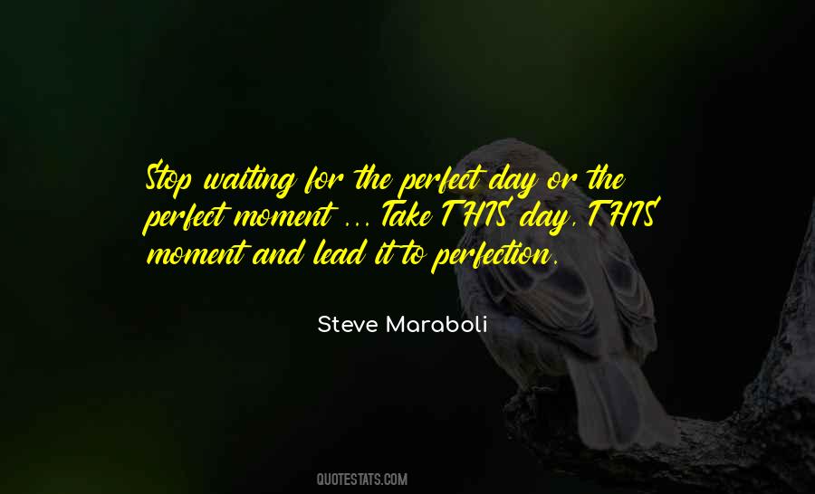 Quotes About Waiting For The Perfect Moment #1834276