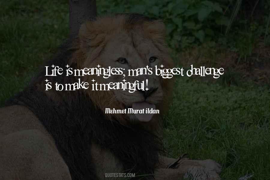 Quotes About Life Meaningless #745041