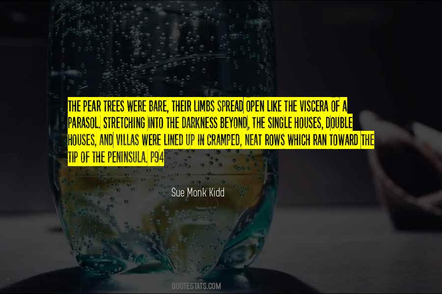 Single Or Double Quotes #566446